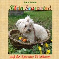 Cover-Bild zum Titel 'Klein Sausewind' von 'Paola Krauss'