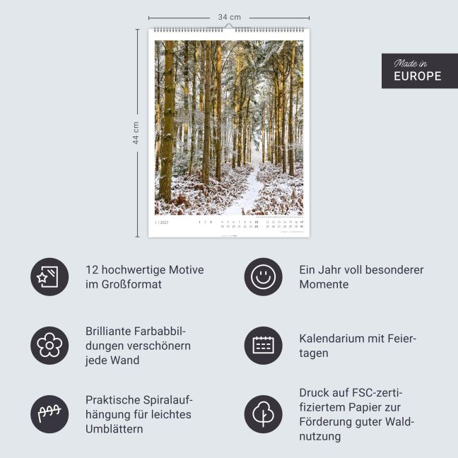 InsideView 13
