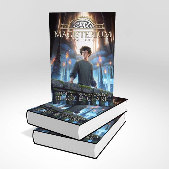 InsideView 12