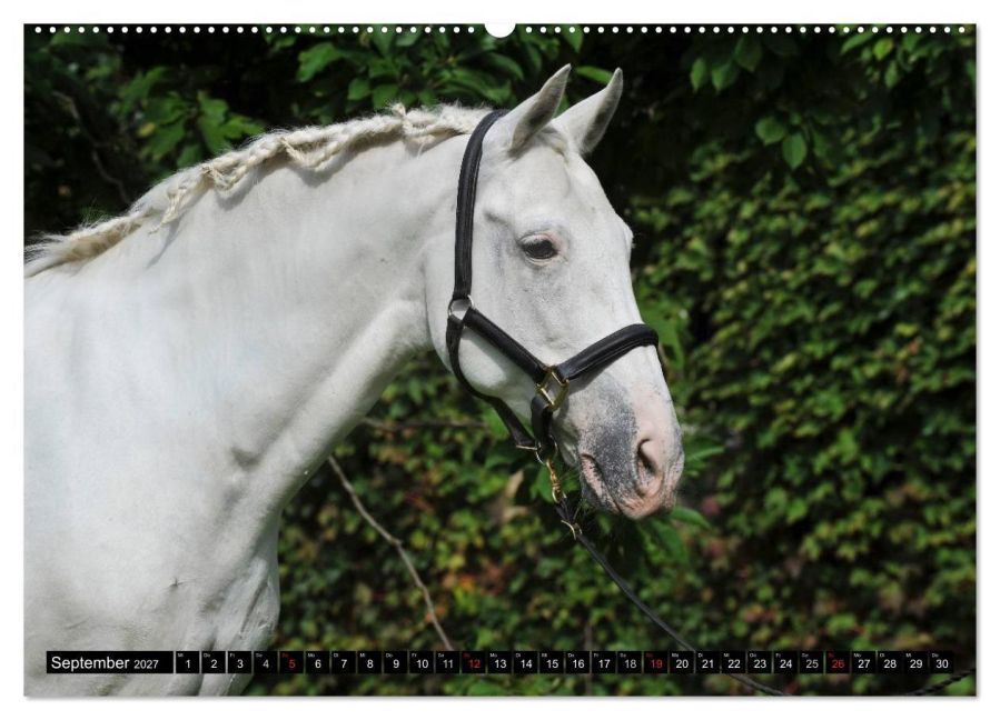 InsideView 14