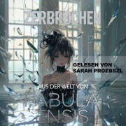Cover-Bild zum Titel 'Aus der Welt von Fabula Ensis' von 'DeSade Kucharzak, DeSade Kucharzak'