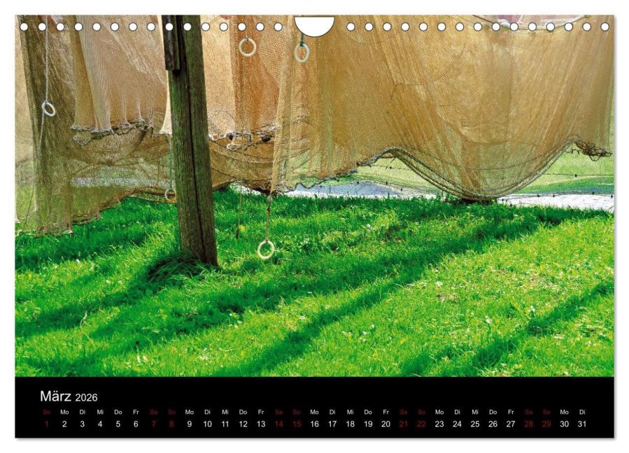 InsideView 8