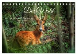 Cover-Bild zum Titel 'Der Wald - Ort der Ruhe und Besinnung (Tischkalender 2026 DIN A5 quer), CALVENDO Monatskalender' von 'Christine Wirges'