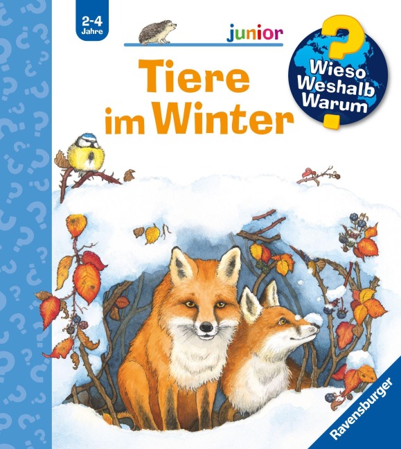 Wieso? Weshalb? Warum? junior, Band 31 - Tiere im Winter - Andrea Erne