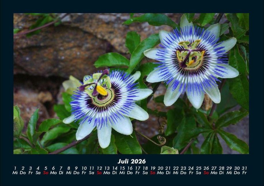 InsideView 11