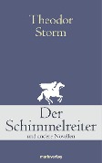 Cover-Bild zum Titel 'Der Schimmelreiter' von 'Theodor Storm'