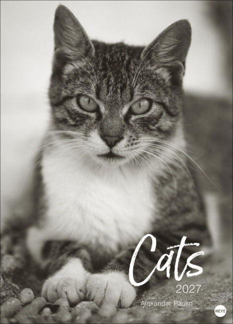 Cats Edition Kalender 2027 - 