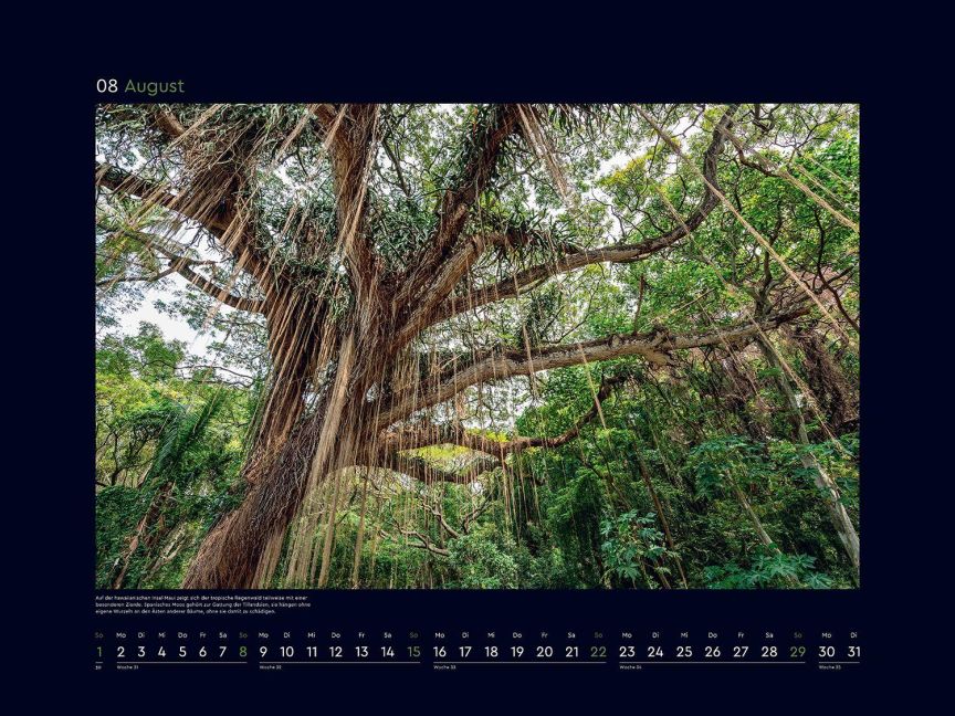 InsideView 10