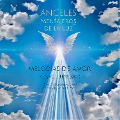 ÁNGELES - Mensajeros de la luz (música ysonidos angelicales) - Música ySonidos Angelicales