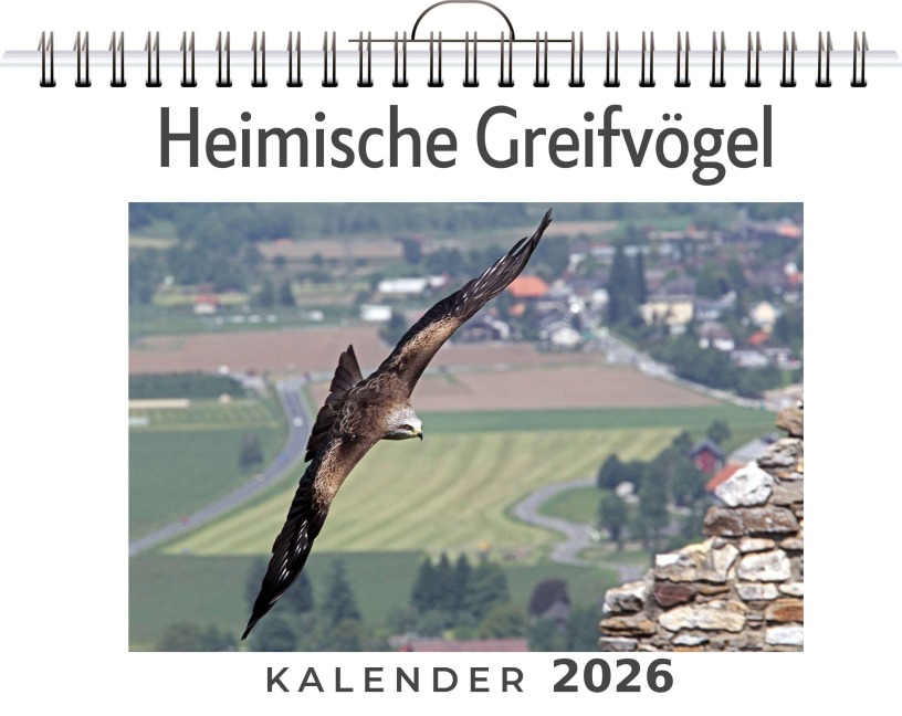 Heimische Greifvögel - Ava Krüger