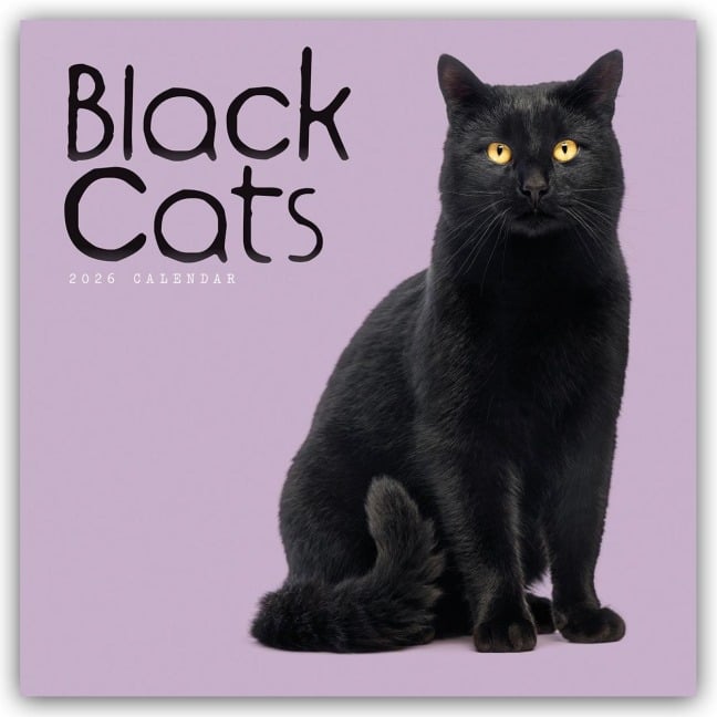 Black Cats - Schwarze Katzen 2026 - Wand-Kalender - Carousel Calendar