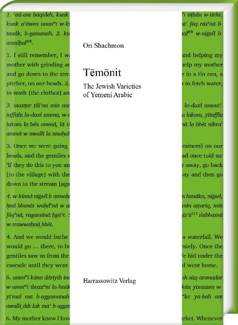 Temonit - Ori Shachmon