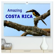 Amazing Costa Rica (High Quality Premium Wall Calendar 2026 DIN A2 landscape),CALVENDO 12 Month Wall Calendar - Berlin Schoen