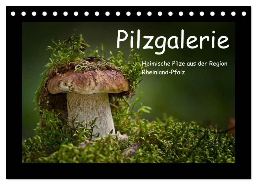 Pilzgalerie - Heimische Pilze aus der Region Rheinland-Pfalz (Tischkalender 2026 DIN A5 quer), CALVENDO Monatskalender - Beate Wurster
