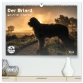 Der Briard 2024 - Ein echter Charmeur (hochwertiger Premium Wandkalender 2024 DIN A2 quer), Kunstdruck in Hochglanz - Sonja Teßen