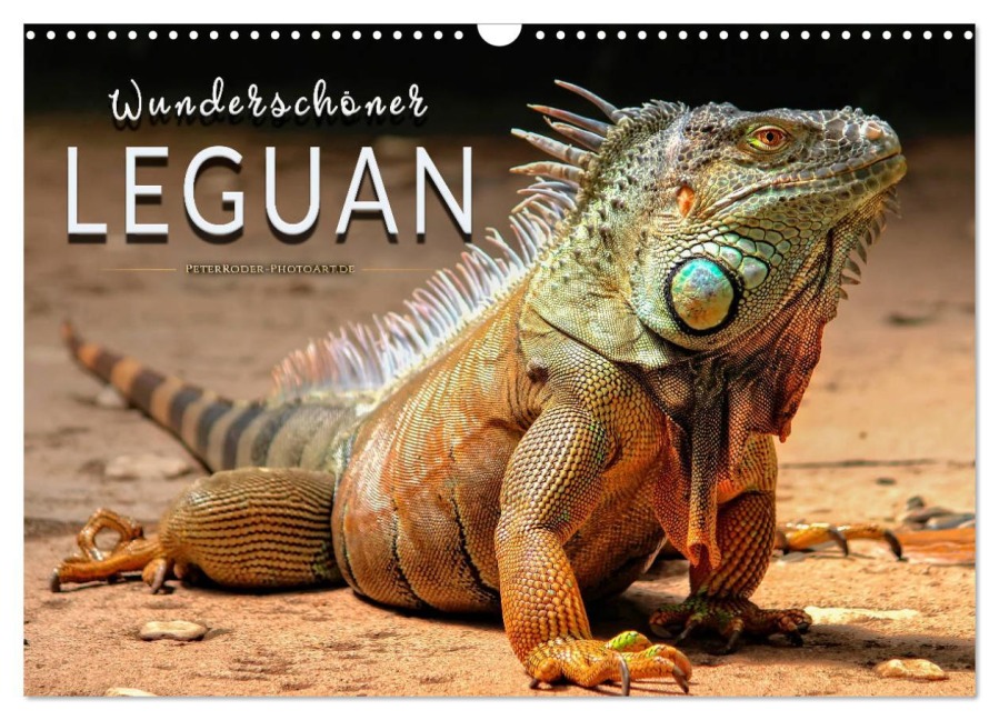 Wunderschöner Leguan (Wandkalender 2026 DIN A3 quer), CALVENDO Monatskalender - Peter Roder