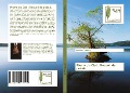 Cover-Bild zum Titel 'Plume du Ciel : Recueil de poésie.' von 'Hyacinthe Soraune'