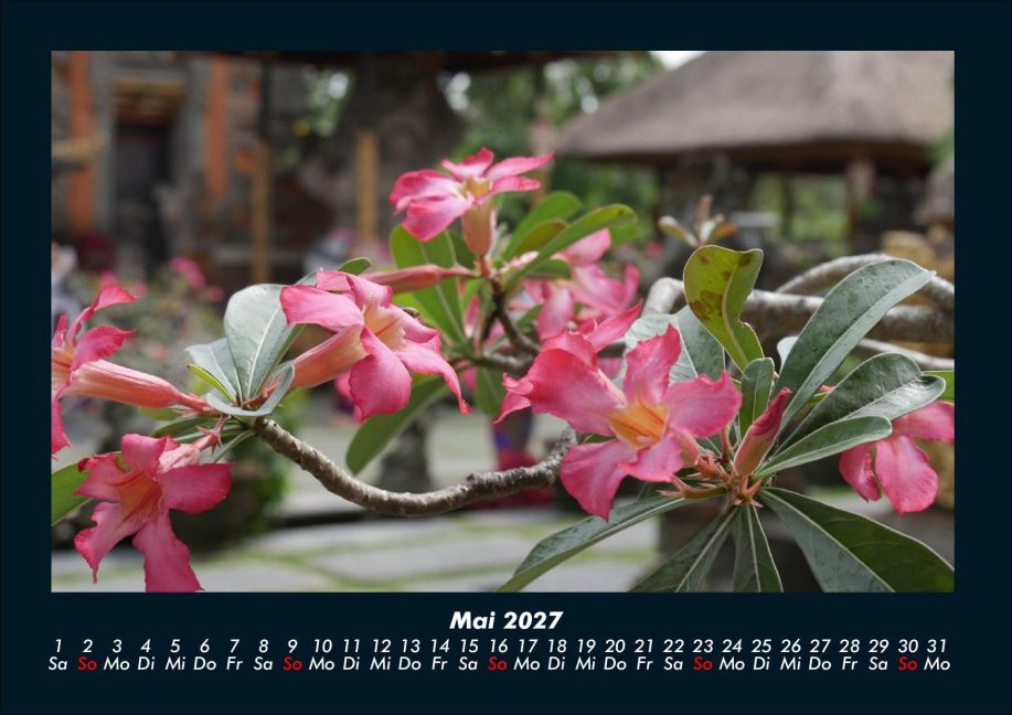 InsideView 9
