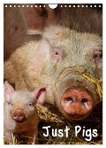 Just Pigs (Wall Calendar 2025 DIN A4 portrait), CALVENDO 12 Month Wall Calendar - Dalyn Dalyn