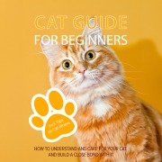 Cover-Bild zum Titel 'Cat Guide for Beginners: How to Understand and Care For Your Cat and Build a Close Bond With It - Including Tips on Cat Illness' von 'Matthias Stolz'