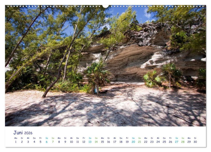 InsideView 10