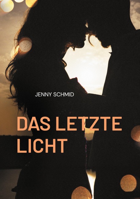Das letzte Licht - Jenny Schmid