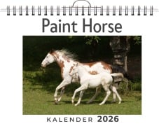Cover-Bild zum Titel 'Paint Horse' von 'Matteo Kaiser'