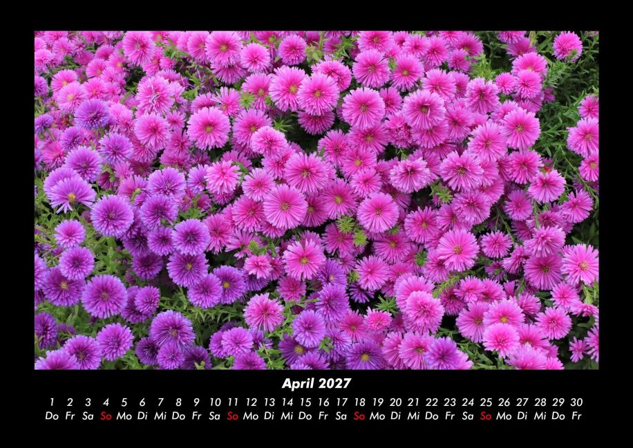 InsideView 8