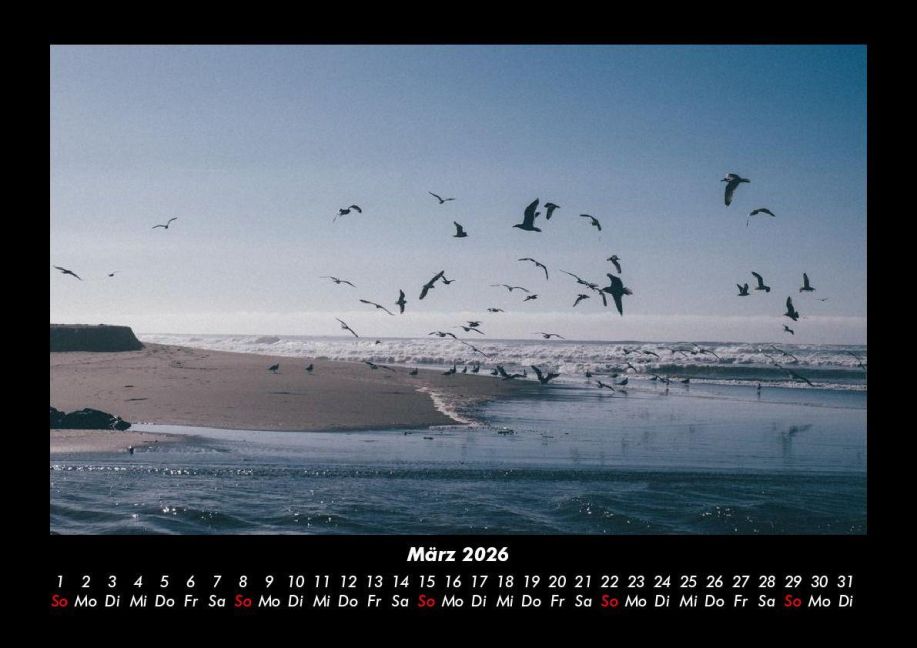 InsideView 7