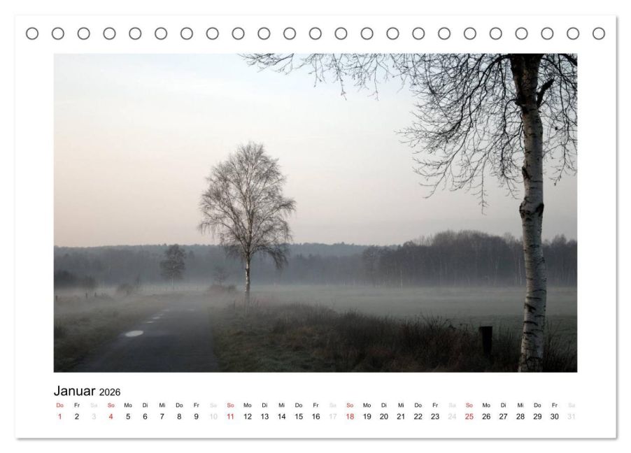InsideView 6