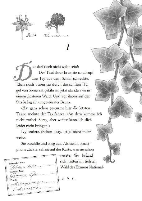 InsideView 4