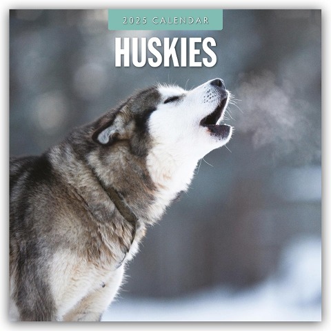 Huskies - Husky - Huskys 2025 - 16-Monatskalender - 