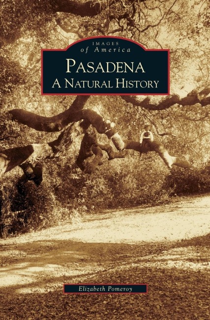 Pasadena - Elizabeth Pomeroy