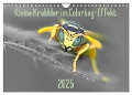 Kleine Krabbler im Colorkey-Effekt (Wandkalender 2025 DIN A4 quer), CALVENDO Monatskalender - Dany¿s Blickwinkel