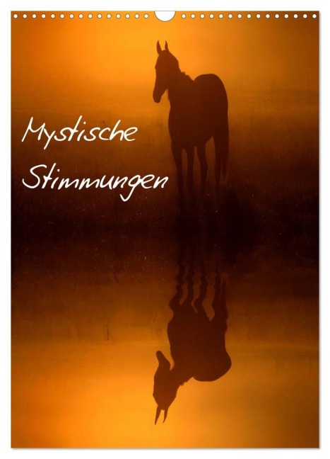 Mystische Stimmungen (Wandkalender 2027 DIN A3 hoch), CALVENDO Monatskalender - Lars Tuchel