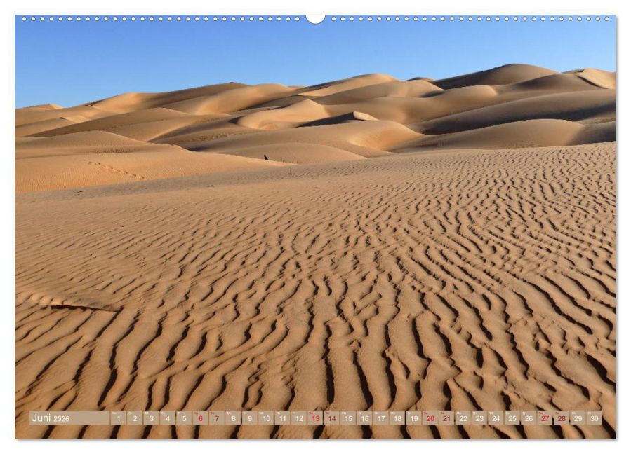 InsideView 10