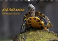 Cover-Bild zum Titel 'Schildkröten Geburtstagskalender (Wandkalender immerwährend DIN A3 quer)' von 'Martina Berg'