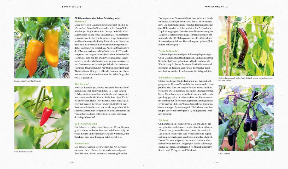 InsideView 21