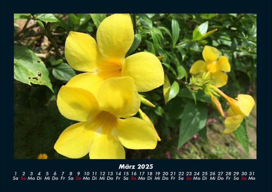 InsideView 7