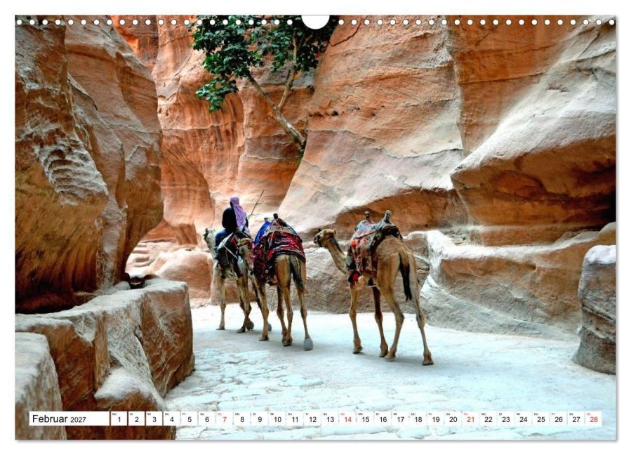 InsideView 7