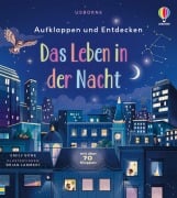 Aufklappen und Entdecken: Das Leben in der Nacht - 