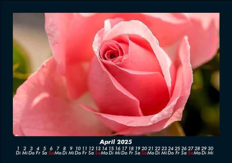 InsideView 8
