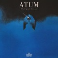 Cover-Bild zum Titel 'Atum' von 'The Smashing Pumpkins'