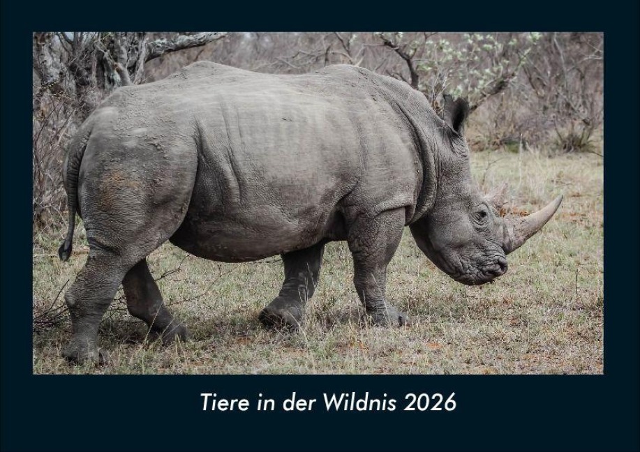 Tiere in der Wildnis 2026 Fotokalender DIN A4 - Tobias Becker