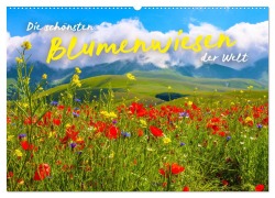 Cover-Bild zum Titel 'Die schönsten Blumenwiesen der Welt (Wandkalender 2026 DIN A2 quer), CALVENDO Monatskalender' von 'Sf Sf'