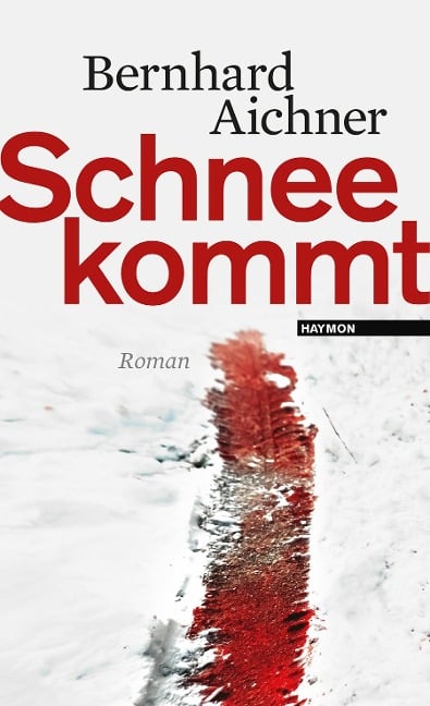 Schnee kommt - Bernhard Aichner