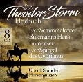 Cover-Bild zum Titel 'Das Groáe Theodor Storm Hörbuch' von 'Schimmelreiter-Immensee-Uvm.'