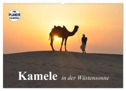 Cover-Bild zum Titel 'Kamele in der Wüstensonne (Wandkalender 2026 DIN A2 quer), CALVENDO Monatskalender' von 'Elisabeth Stanzer'