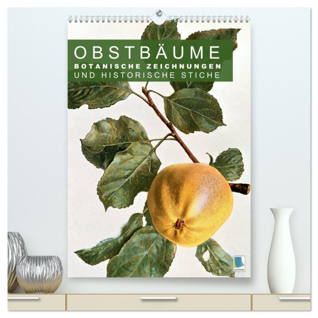 Obstbäume: Botanische Zeichnungen und historische Stiche (hochwertiger Premium Wandkalender 2026 DIN A2 hoch), Kunstdruck in Hochglanz - Calvendo Calvendo