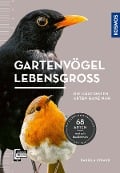 Cover-Bild zum Titel 'Gartenvögel lebensgroß' von 'Daniela Strauß'